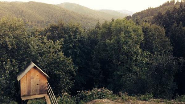Illustrative forest landscape with a small wooden cabin